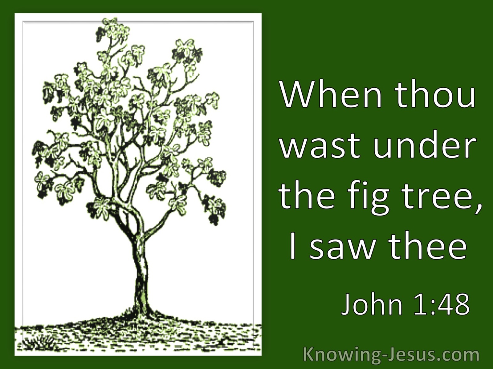 John 1:48 When Thou Wast Under The Fig Tree I Saw Thee (utmost)09:10
